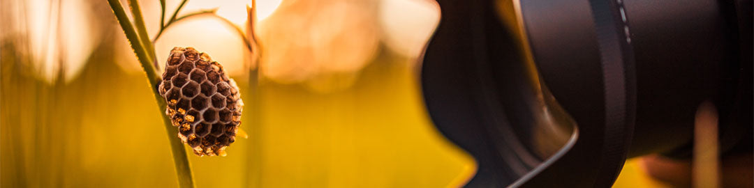 Macro lens