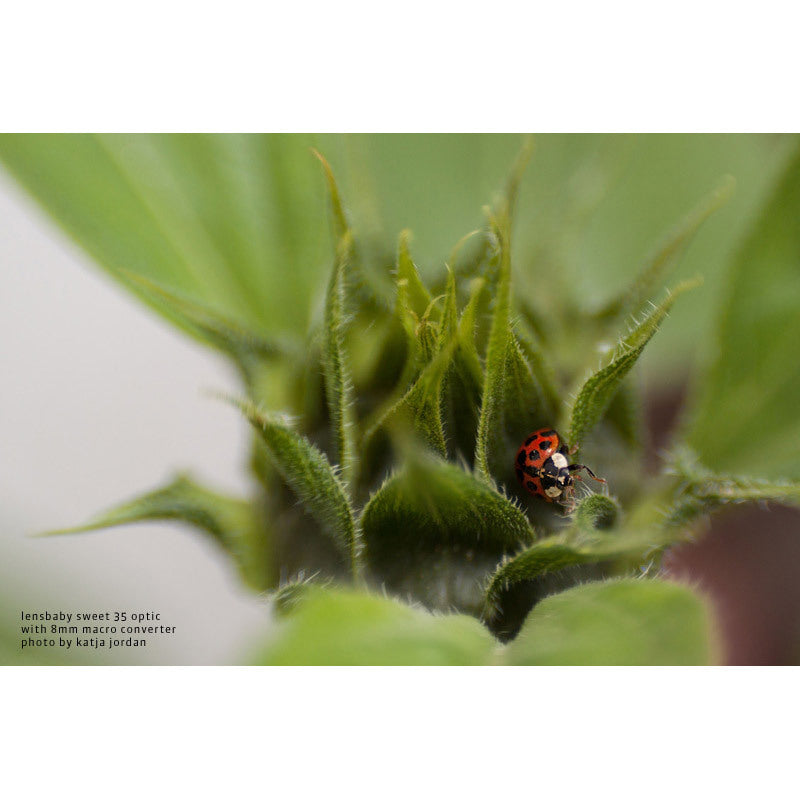 Lensbaby Macro Converters