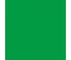 Camera Express BG-2X3-CK Background 2.50x3.0 Meters Chroma key Green