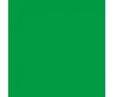KAMERA EXPRESS BG-6X6-CK Hintergrund doek 6,0x6,0 meter chromakey grün