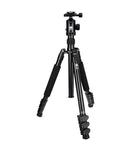 Sirui KTV204 + E-20 (Aluminium)