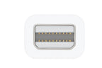 Apple Thunderbolt naar FireWire Adapter (MD464 ZM/A)
