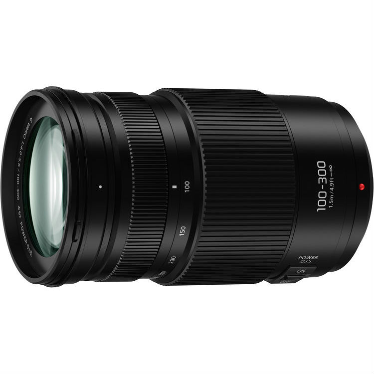 Panasonic MFT 100-300mm f/4.0-5.6 Lumix G Vario Mark II