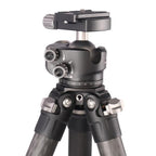 Leofoto Ranger LS-324C + ball head LH-40