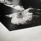 Hahnemühle Photo Rag Baryta A3 Plus 25 sheets