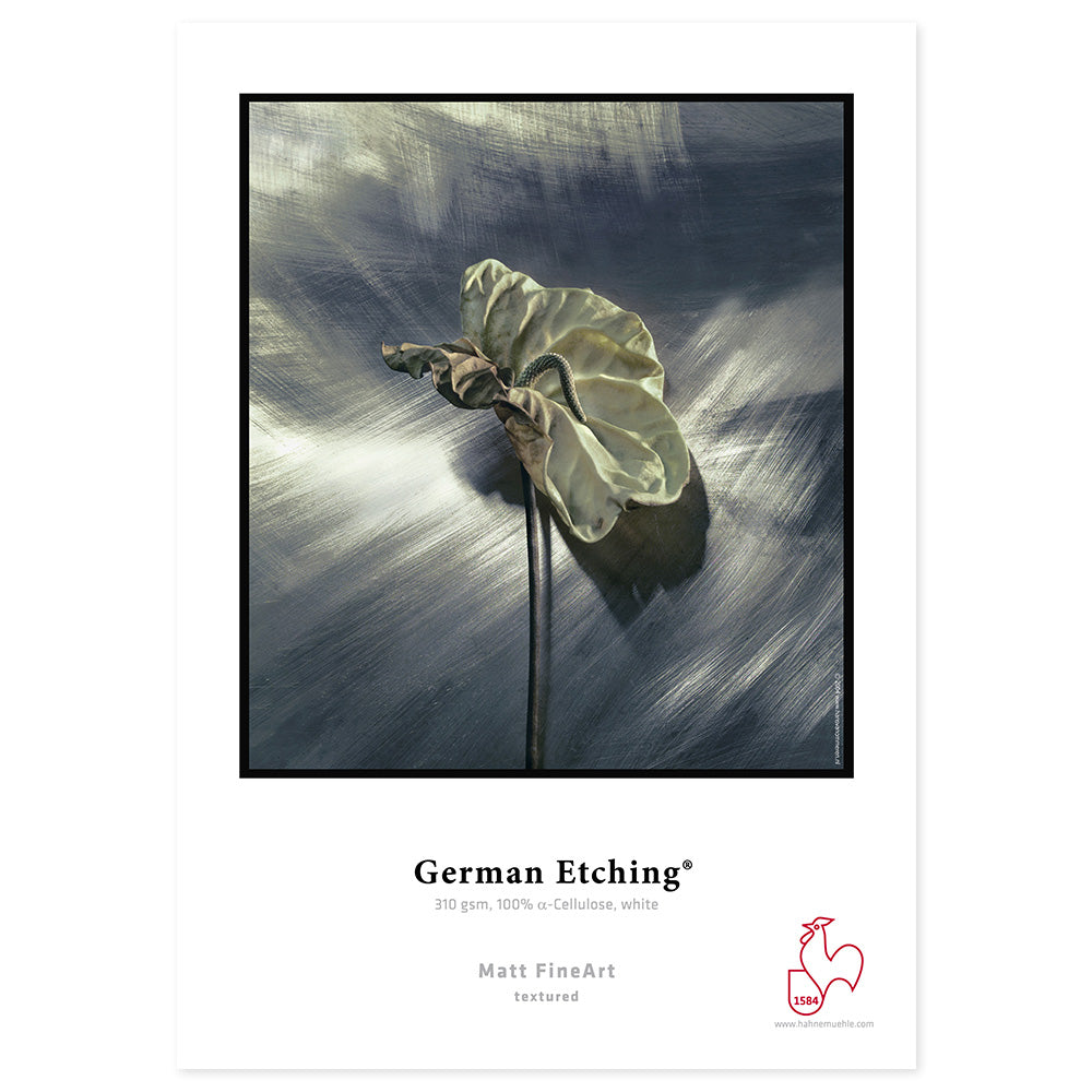 Hahnemuhle German Etching 310g Rolle 610mm x 12m Fotopapier