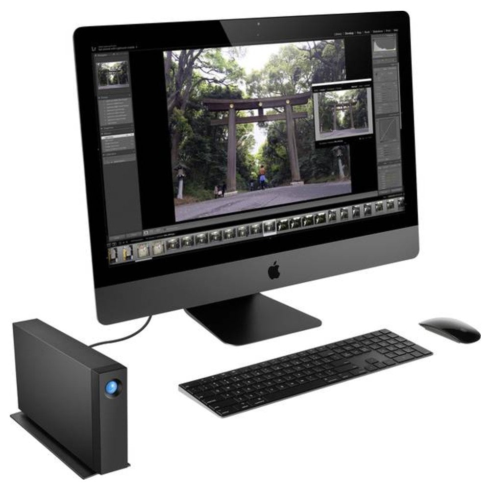 LACIE d2 8 TB USB-C 3,5-Zoll-Desktop-Festplatte