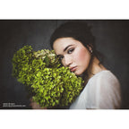 Lensbaby Composer Pro II Nikon Z mit Sweet 35