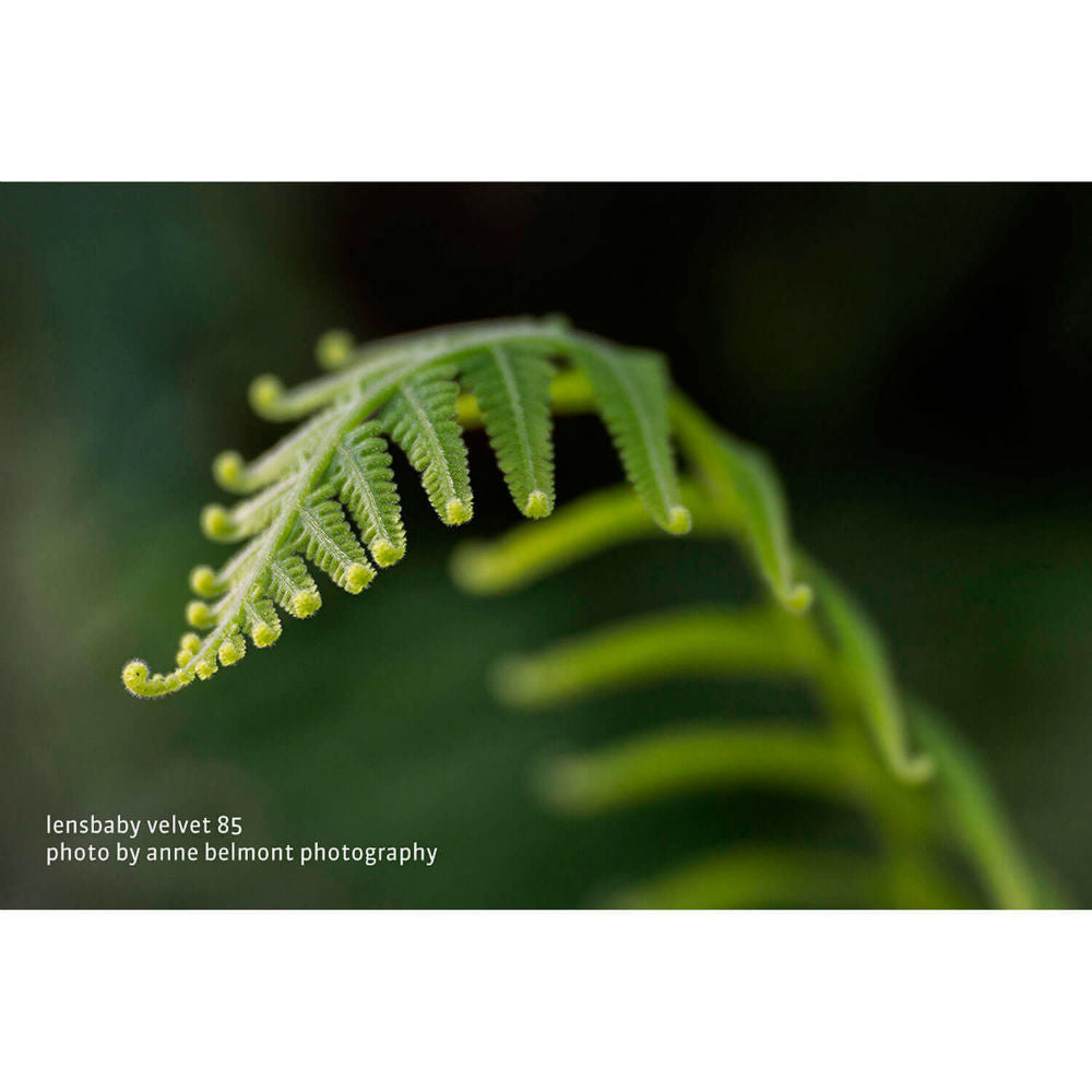 Lensbaby Velvet 85 black Canon RF