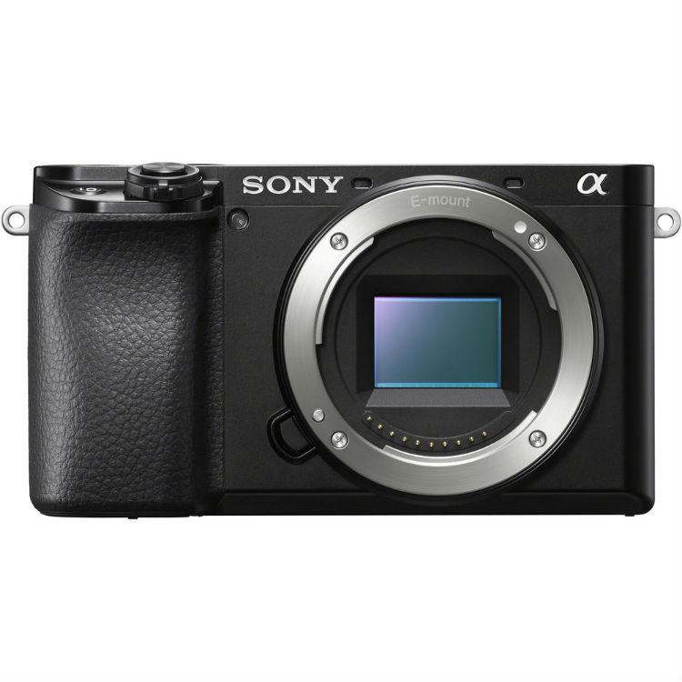Sony A6100 + 18-135mm f/3.5-5.6 OSS
