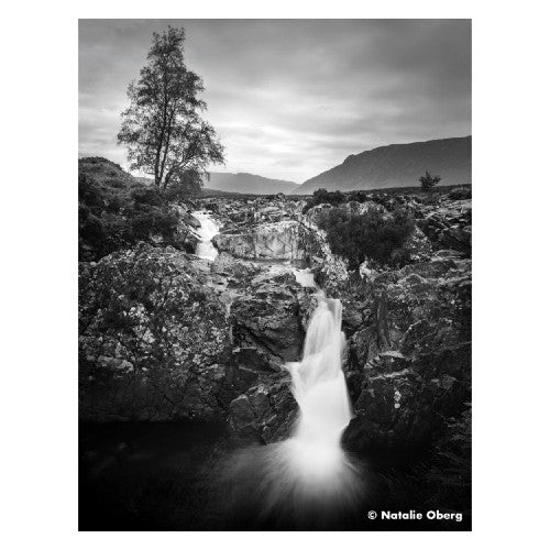 Ilford Ortho Plus 120 sw Film