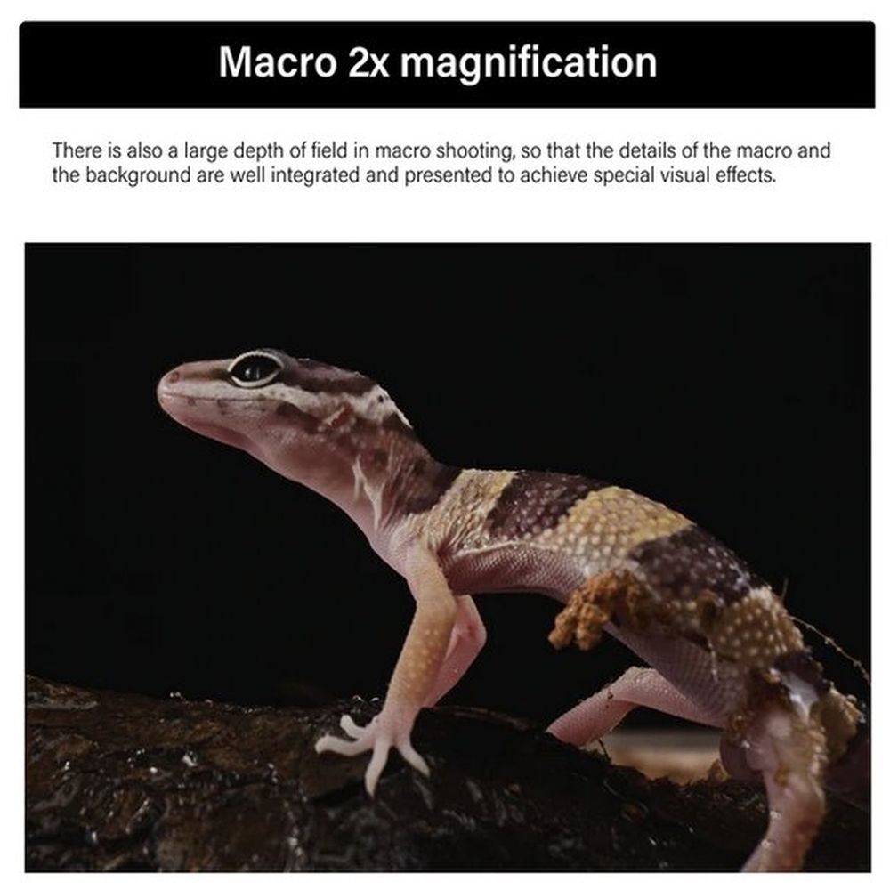 AstrHori 28mm f/13 2x Makro L-Mount