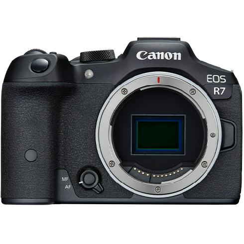 Canon EOS R7 Body + RF 50mm f/1.8 STM
