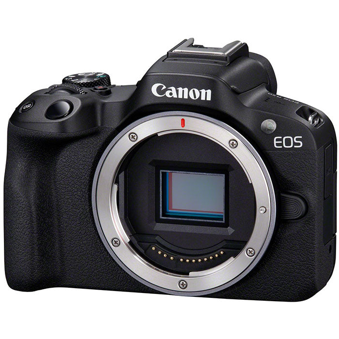 Canon EOS R50 + RF-S 18-45mm f/4.5-6.3 IS STM + RF 100-400mm f/5.6-8 IS USM