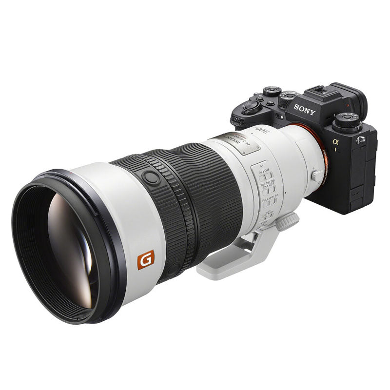 Sony A9 III + FE 300mm f/2.8 GM OSS
