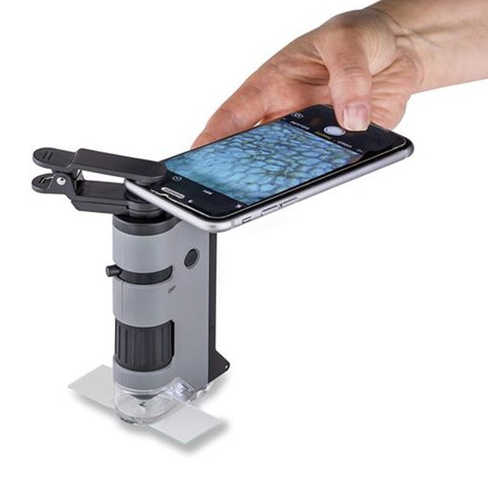 Carson Handmikroskop MP-250 MicroFlip 100-250x mit Smartphone-Adapter
