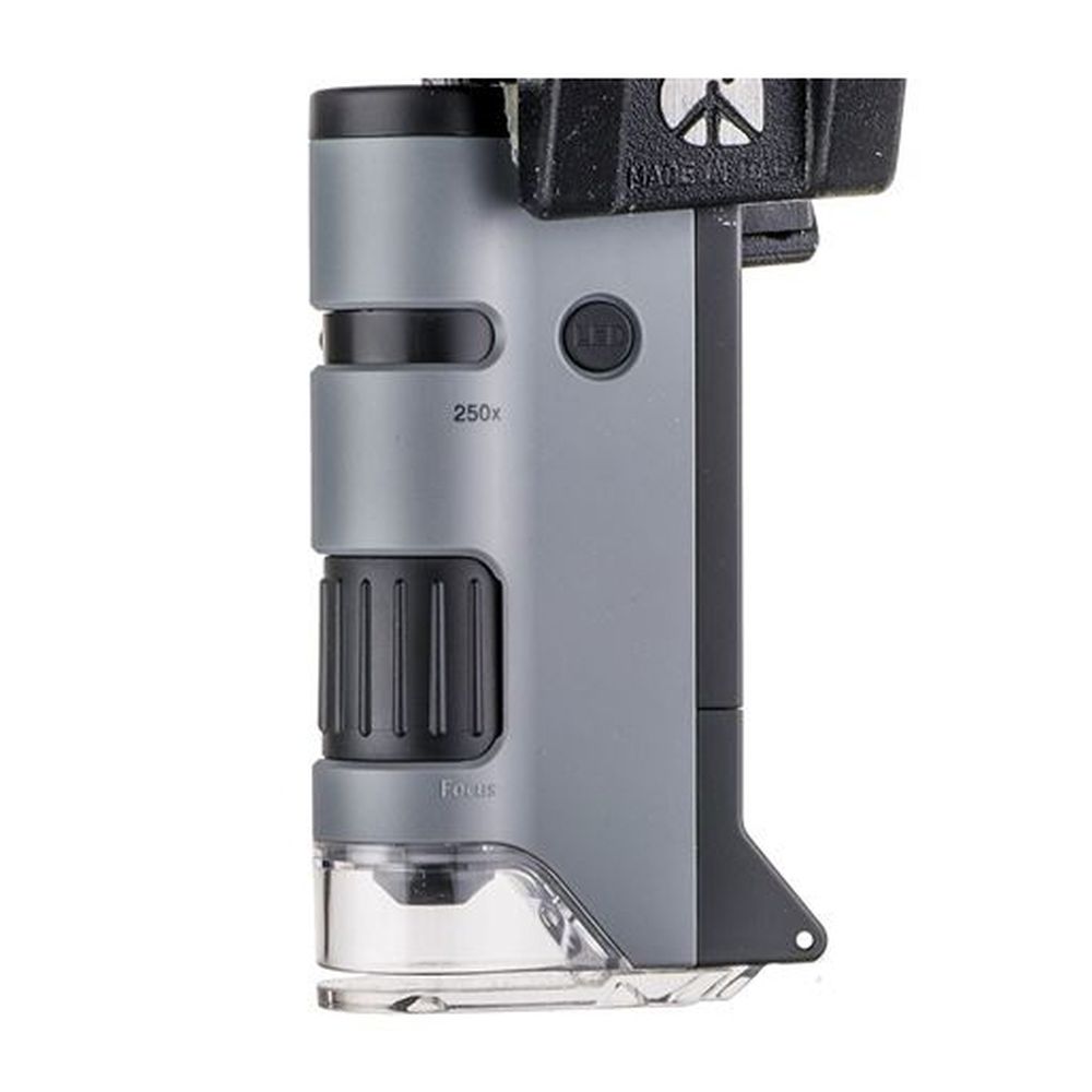Carson Handmikroskop MP-250 MicroFlip 100-250x mit Smartphone-Adapter
