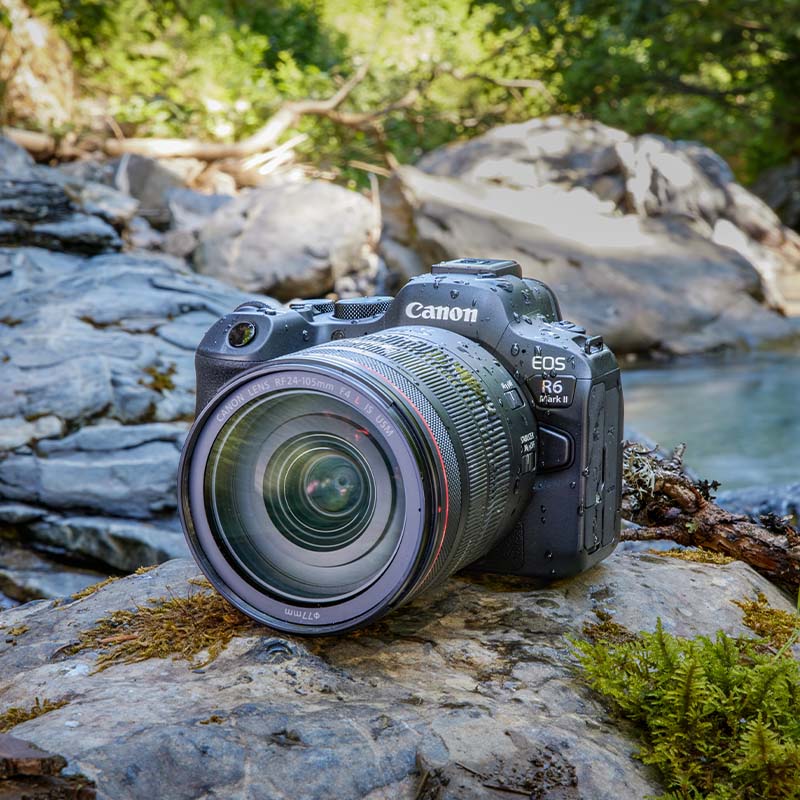 Canon EOS R6 Mark II + EF - RF mount adapter