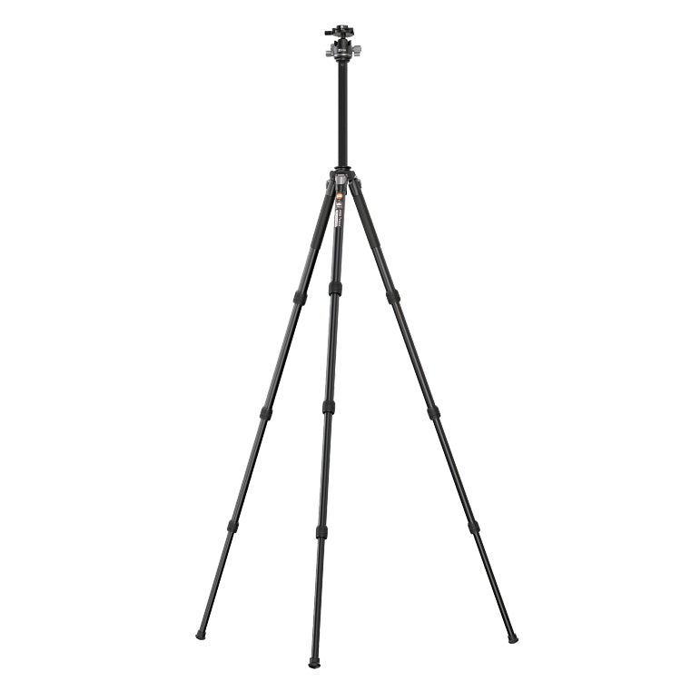 Sirui KE-ST104 Stativ + T-30 Kugelkopf – Kamera Express Exclusive