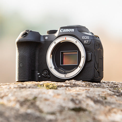 Canon EOS R7 Mirrorless Camera + Sigma 16-300mm f/3.5-6.7 DC OS