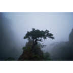 7artisans 14mm f/2.8 L-mount - Schwarz