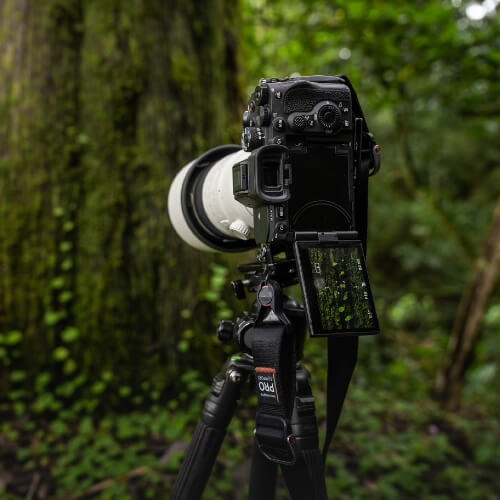Sony A7R V Gehäuse