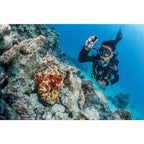 SeaLife Sea Dragon Mini 1200 Power Kit (KIT12)