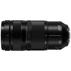 Panasonic Lumix S 100-500mm f/5-7.1