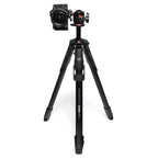 Manfrotto ONE Photo Alu + XPRO Ball Head