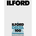 Ilford Delta 100 8x10 25 sheets of film