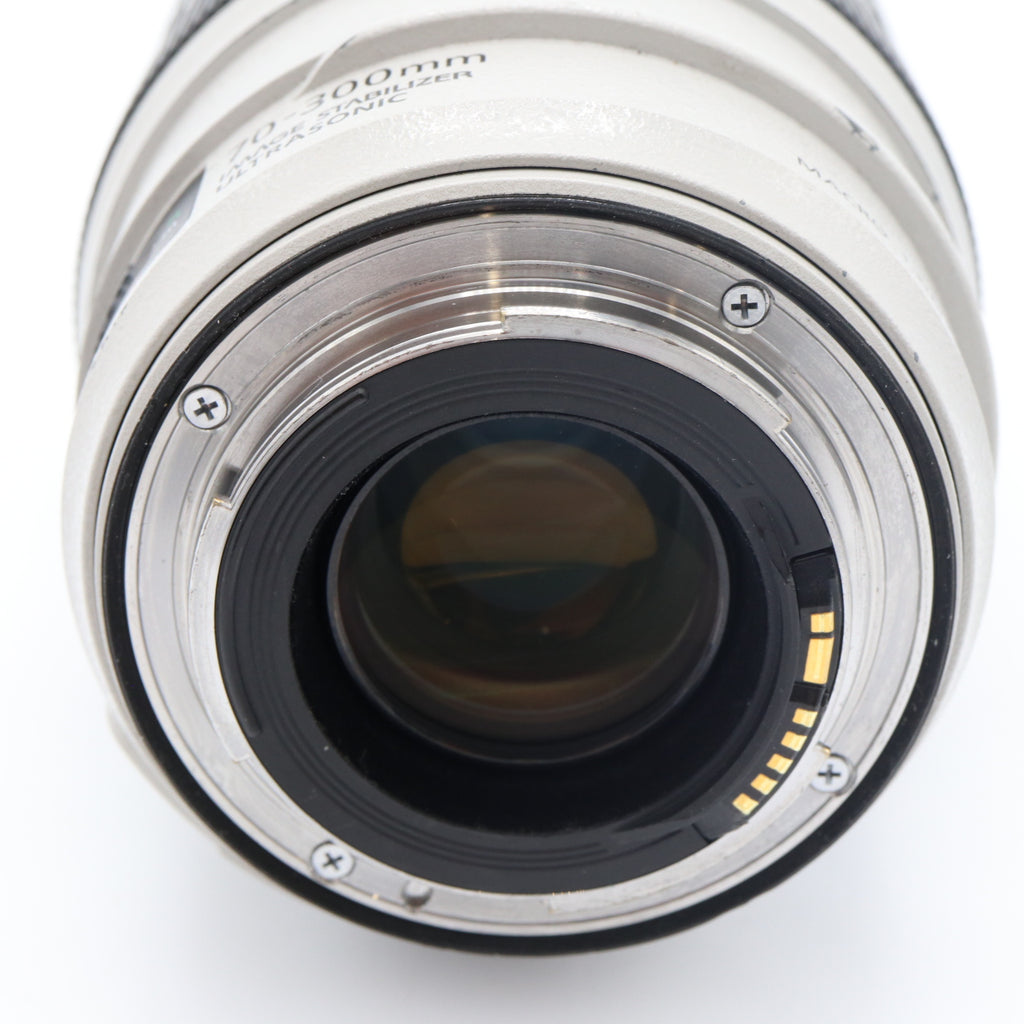 Canon EF 70-300mm f/4-5.6 L IS USM used
