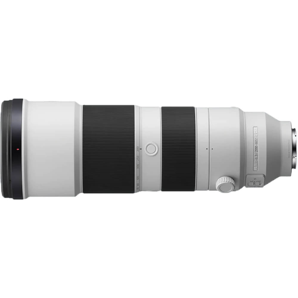 Sony A7 V + FE 200-600mm f/5.6-6.3 G OSS