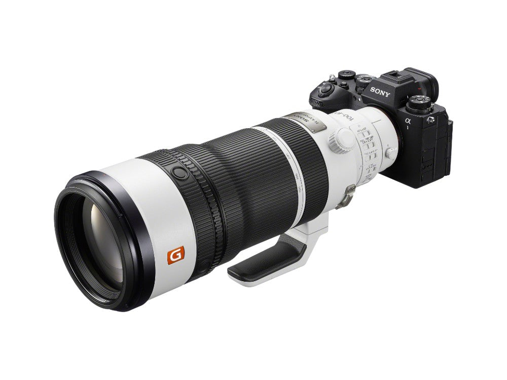 Sony FE 100-400mm f/4.5 GM OSS