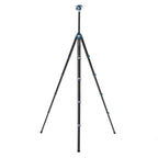 Benro Tripod with head - carbon Cyanbird
