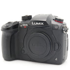 Panasonic Lumix DC-GH5S body used