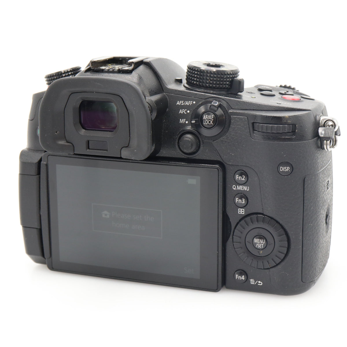 Panasonic Lumix DC-GH5S body used