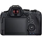 Canon EOS R6 mark II + RF 100-400mm f/5.6-8 IS USM objectief
