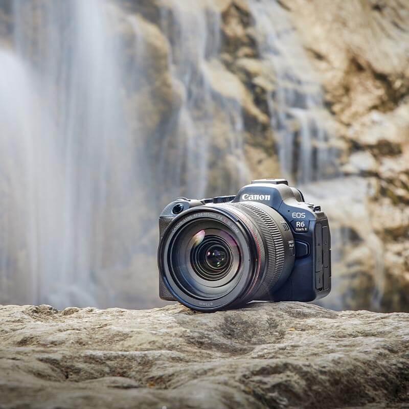 Canon EOS R6 mark II + RF 100-400mm f/5.6-8 IS USM objectief