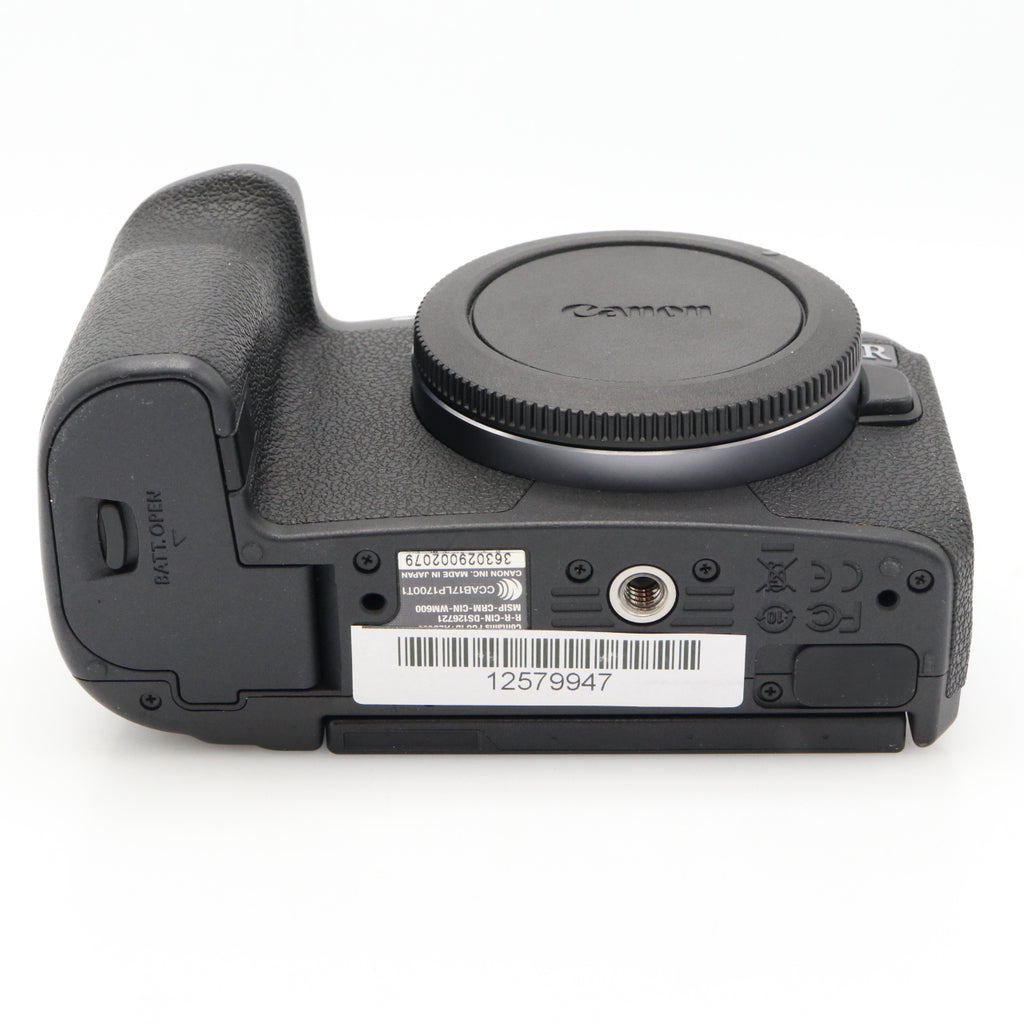 Canon EOS R body used