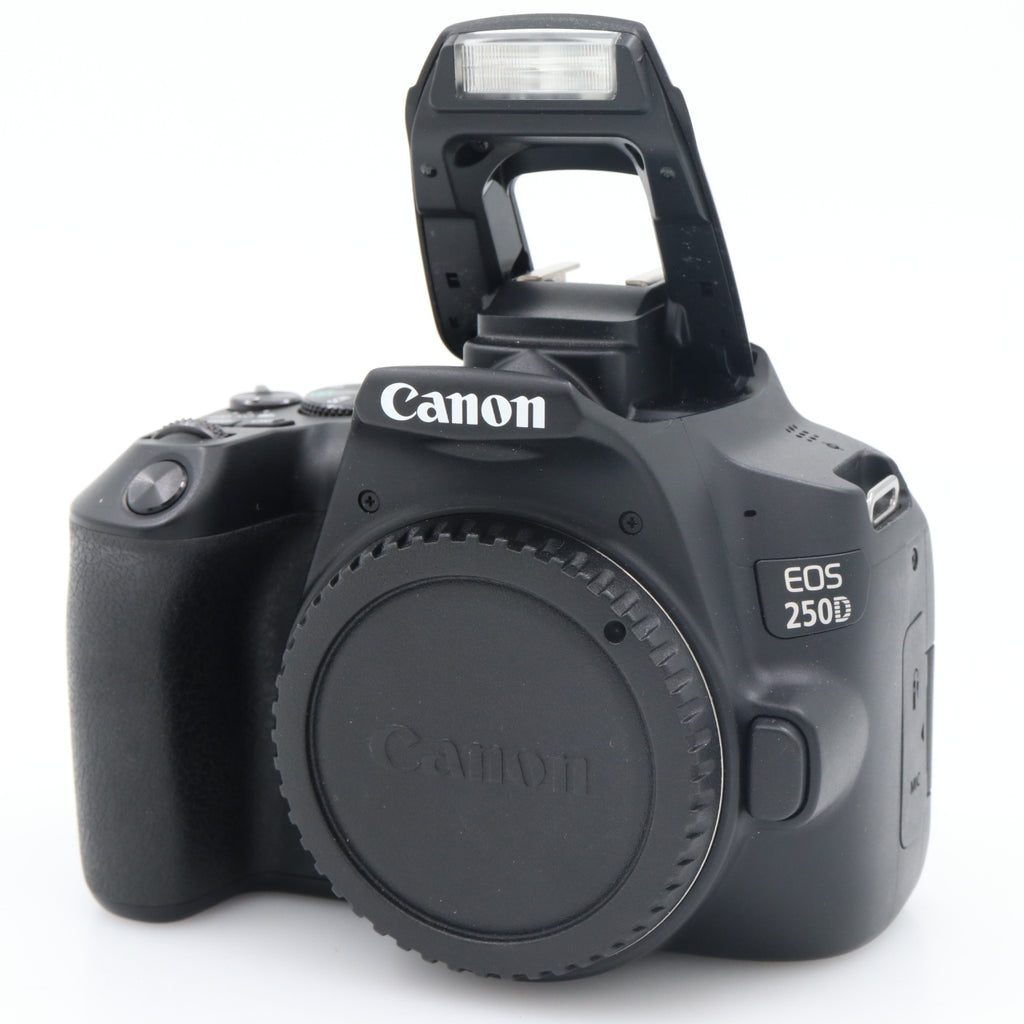 Canon EOS 250D Gehäuse gebraucht