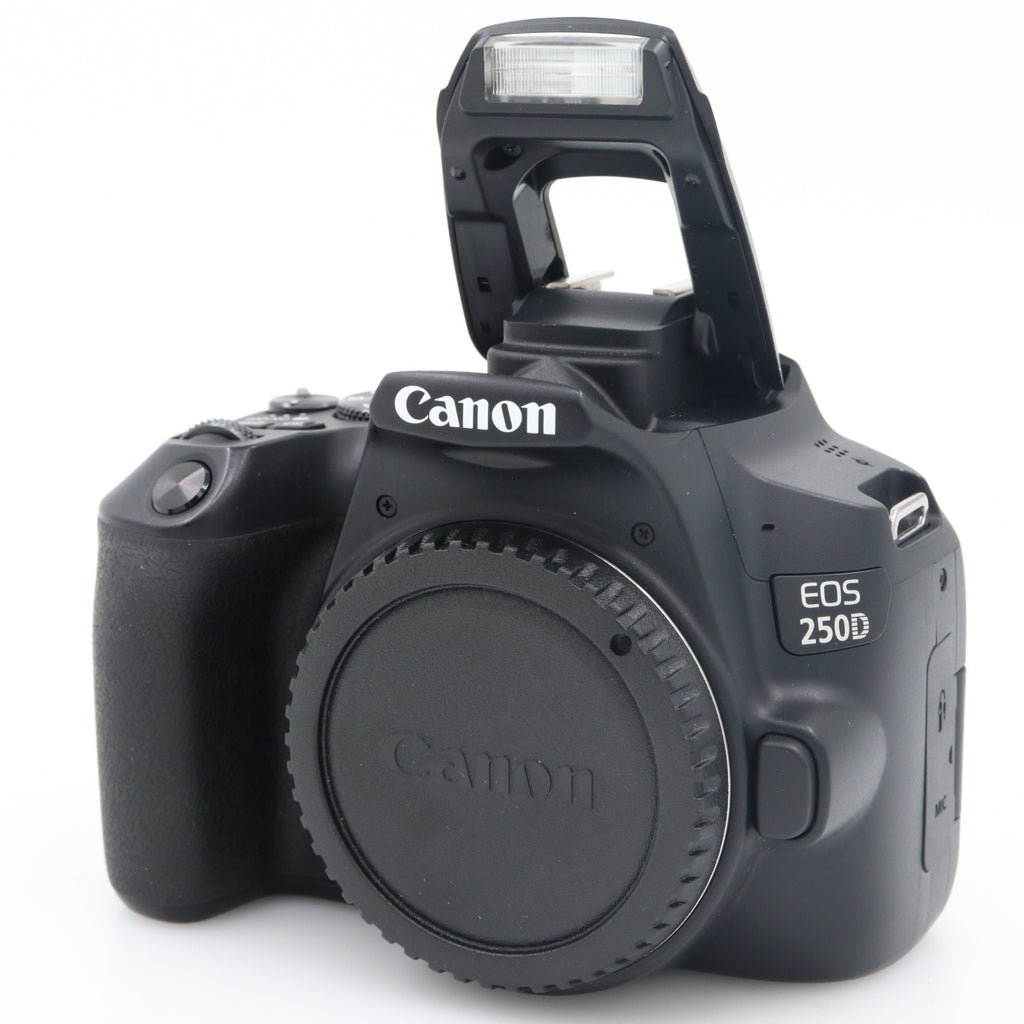 Canon EOS 250D Gehäuse gebraucht