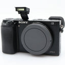 Sony A6000 body used