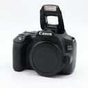Canon EOS 250D Gehäuse gebraucht