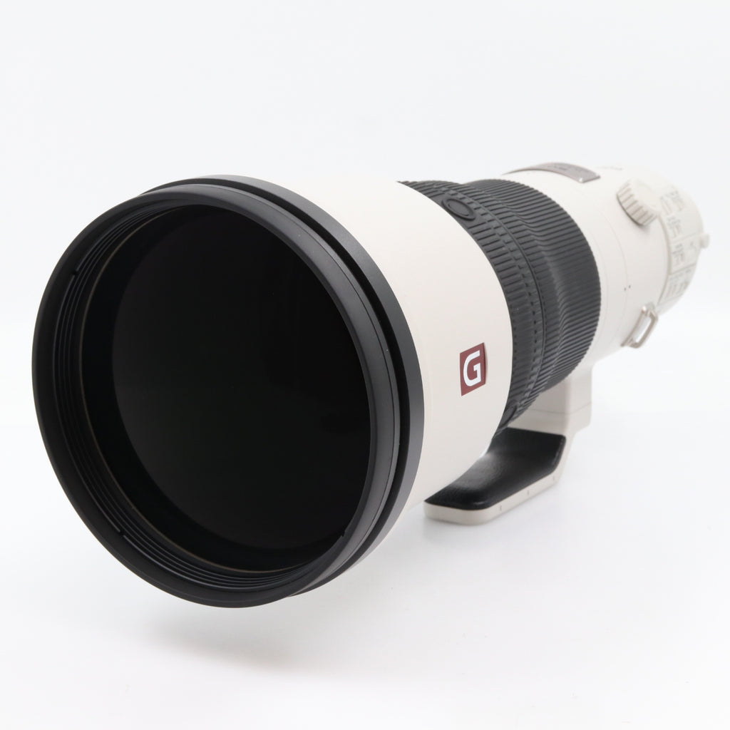 Sony FE 600mm f/4 GM gebraucht