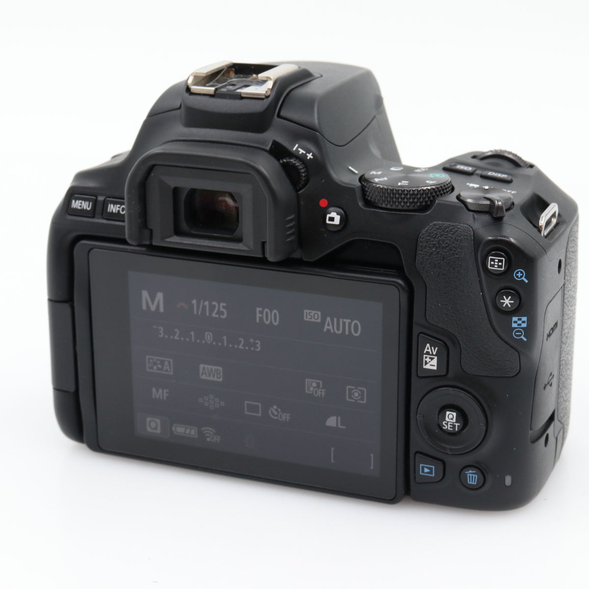 Canon EOS 250D body used