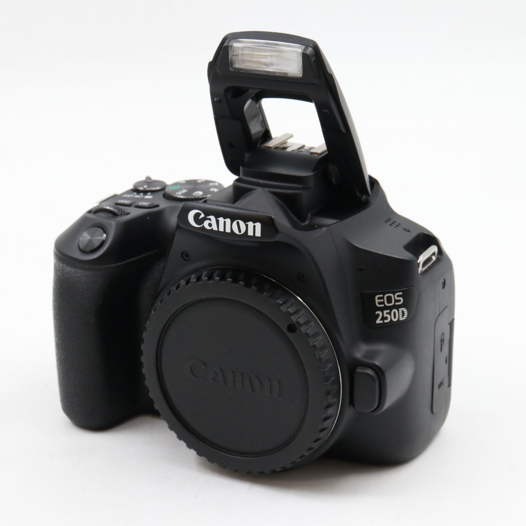 Canon EOS 250D Gehäuse gebraucht