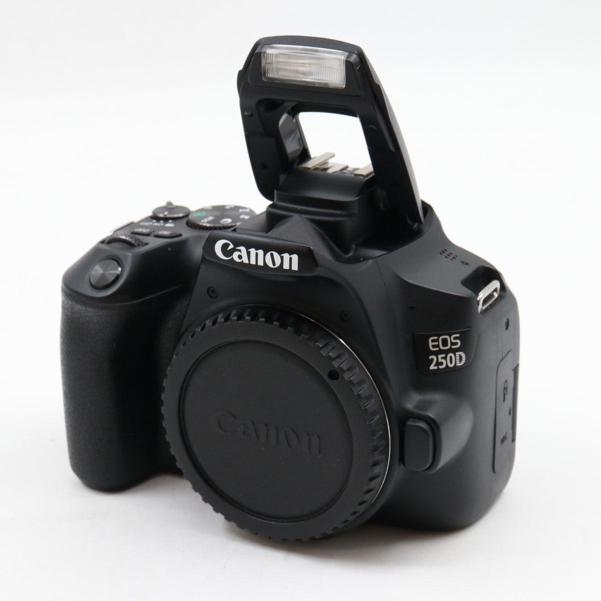 Canon EOS 250D Gehäuse gebraucht