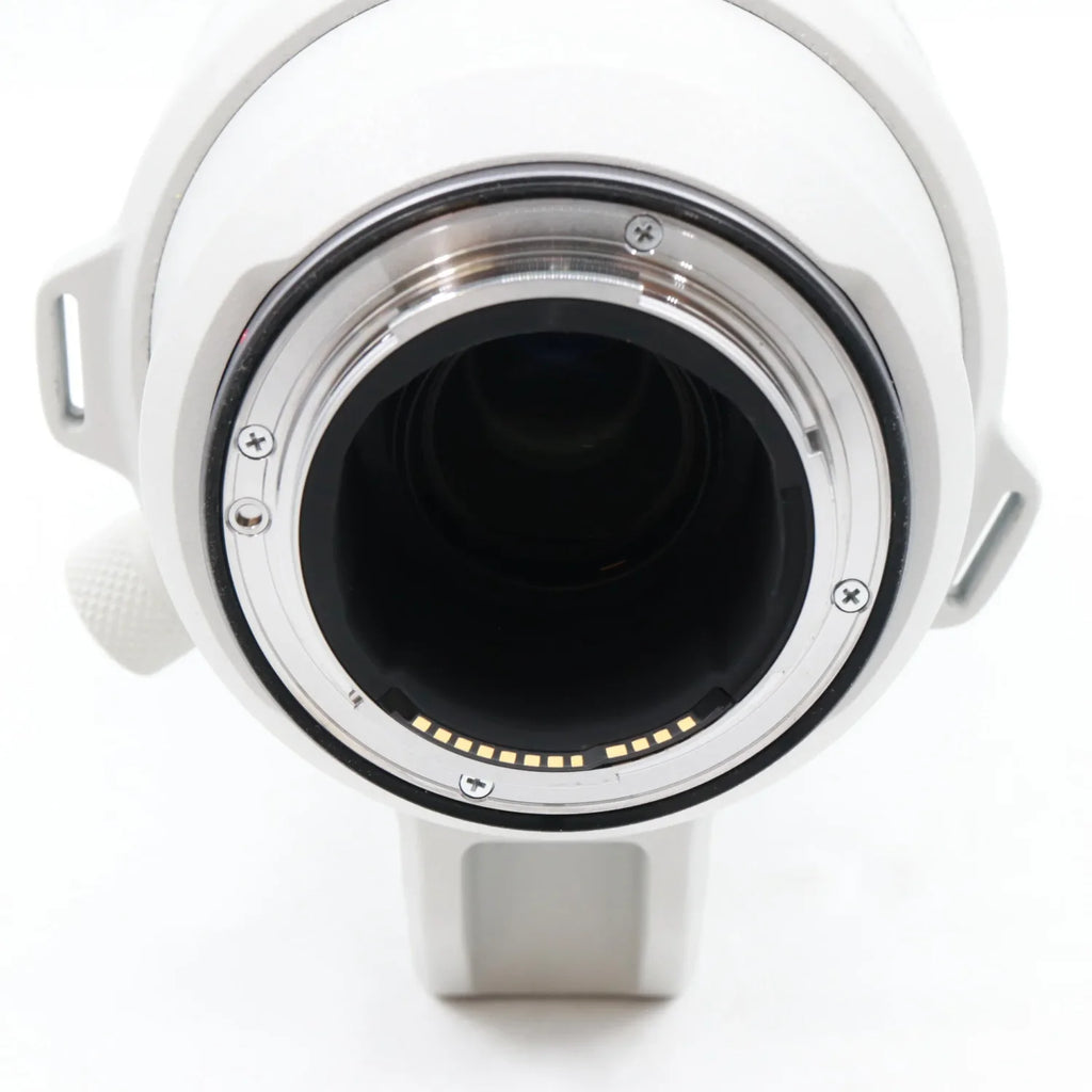 Canon RF 200-800mm f/6.3-9 IS USM used