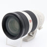 Sony FE 100-400mm f/4.5-5.6 GM OSS used