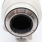 Sony FE 100-400mm f/4.5-5.6 GM OSS gebraucht